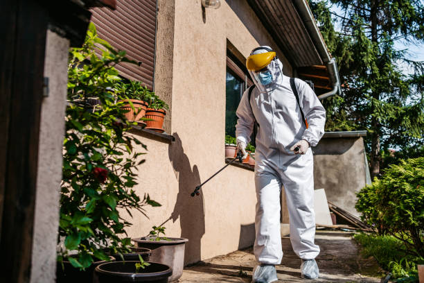 Best Termite Control Services  in Austintown, OH