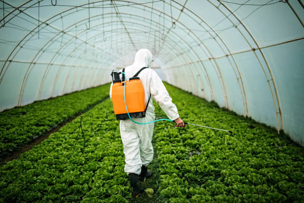 Best Pest Control Treatment  in Austintown, OH