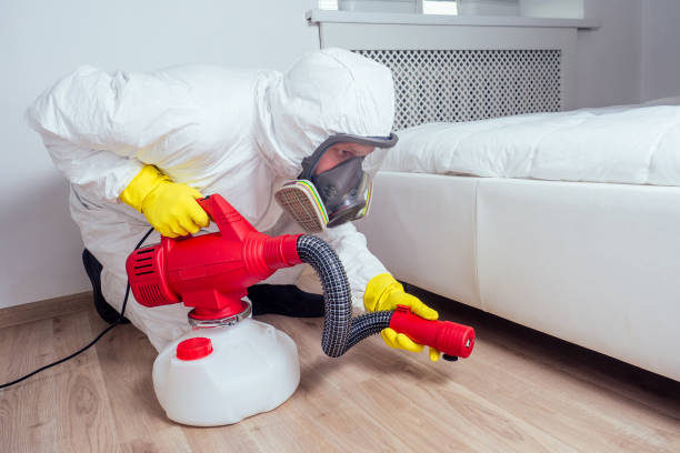 Insect Control in Austintown, OH