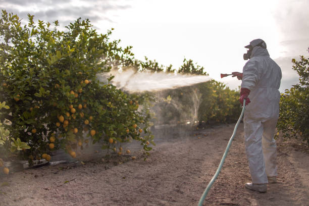 Best Best Pest Control Companies  in Austintown, OH