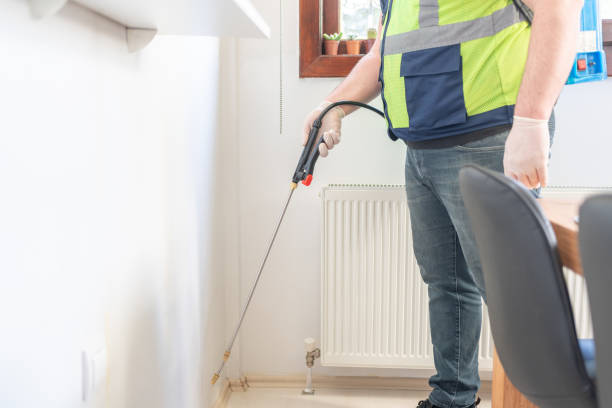 Best Flea Control Services  in Austintown, OH