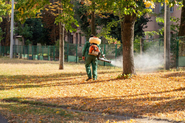 Best Local Pest Control Services  in Austintown, OH
