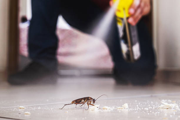 Best Exterminator Services  in Austintown, OH
